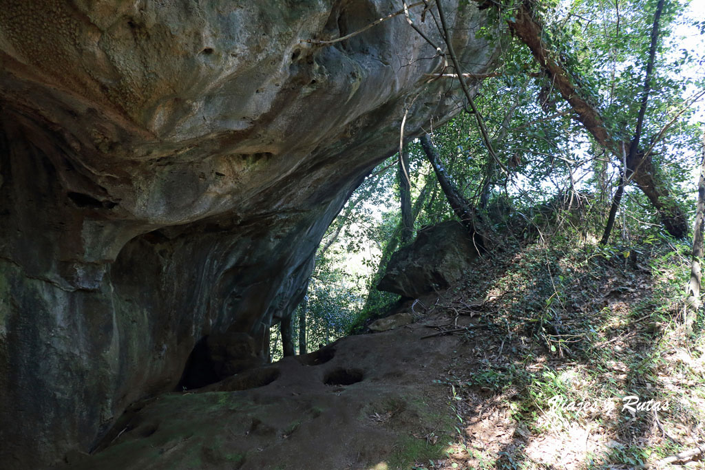 Cuevas de Andina