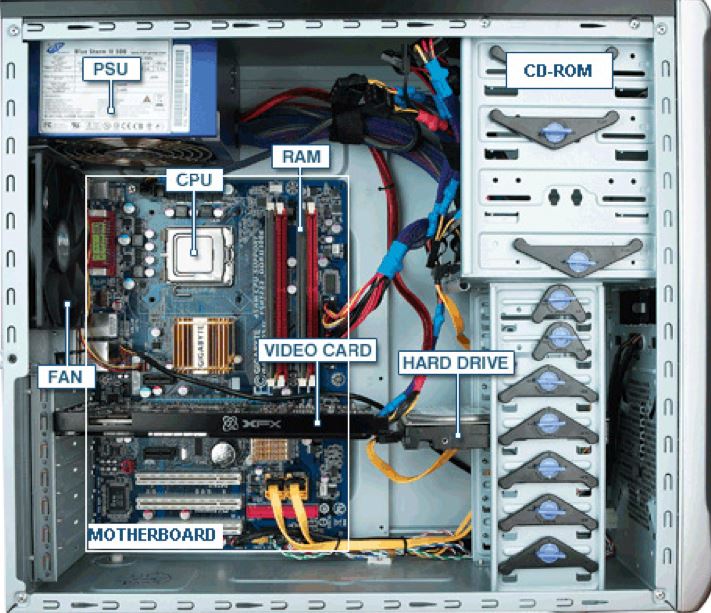 Understanding the Basics of Computer Processes IT Network