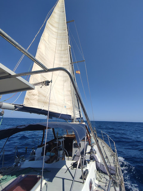 [Imagen: IMG_20210702_164034.jpg]