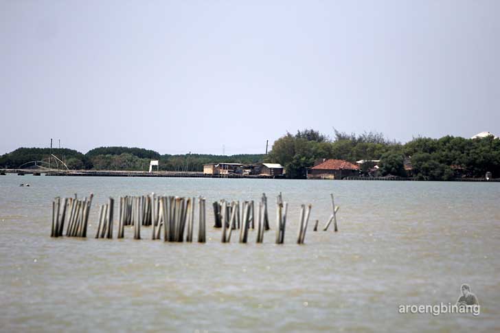 warung pesisir wisata bahari morosari demak