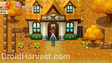 Stores and Guide Harvest Moon: Light of Hope - Harvest