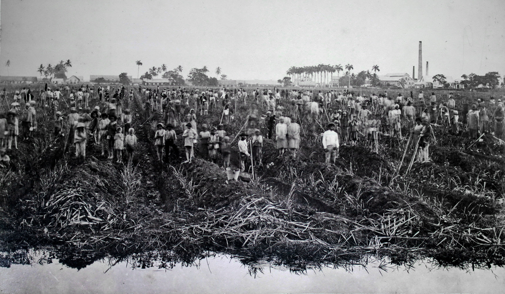 Antique and Classic Photographic Images