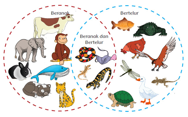 Materi Ajar Kelas 6 Tema 1 Subtema 2 Pembelajaran 1