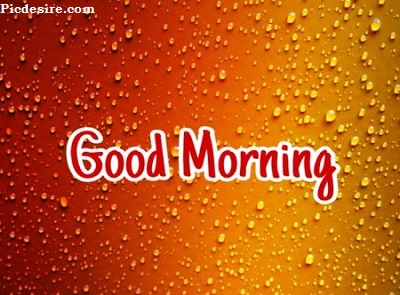 Cute Good Morning Images for Whatsapp | Best 21 Cute Good morning Photo Cute Good Morning Images for Whatsapp | Best 21 Cute Good morning Photo