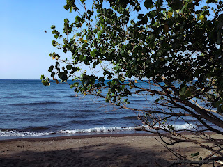Rural Beach And Hibiscus Tiliaceus Plants Scenery At Tangguwisia Village, Seririt, North Bali, Indonesia