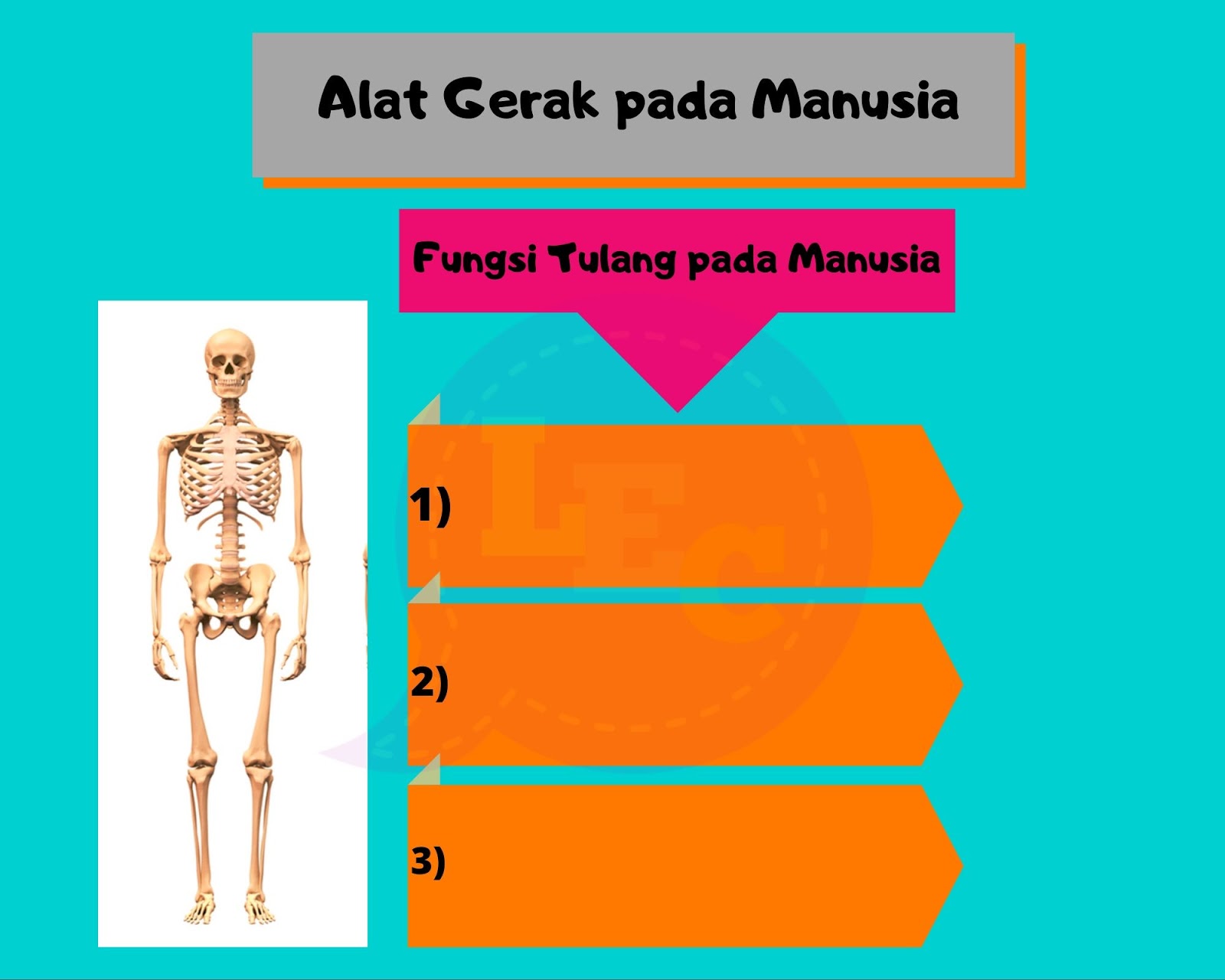 ZONA NYAMAN KUMPULAN LEMBAR KERJA TEMA 1 KELAS 5 SD