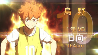 ハイキュー 烏野1年 メンバー紹介 画像 Haikyuu Karasuno 1st Year