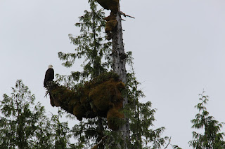 Haida Gwaii - Gwaii Haanas