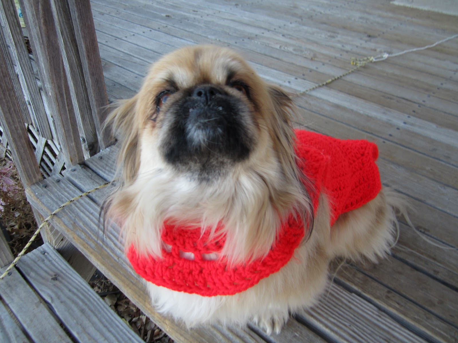 Little Susie Home Maker Bear Love, My Pekingese Crocheted Sweater!