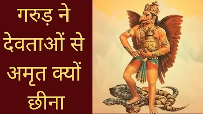 गरुड़ ने देवताओं से अमृत क्यों छीना गरुड़ ने देवताओं से अमृत क्यों छीना, गरुड़ देव के रहस्य