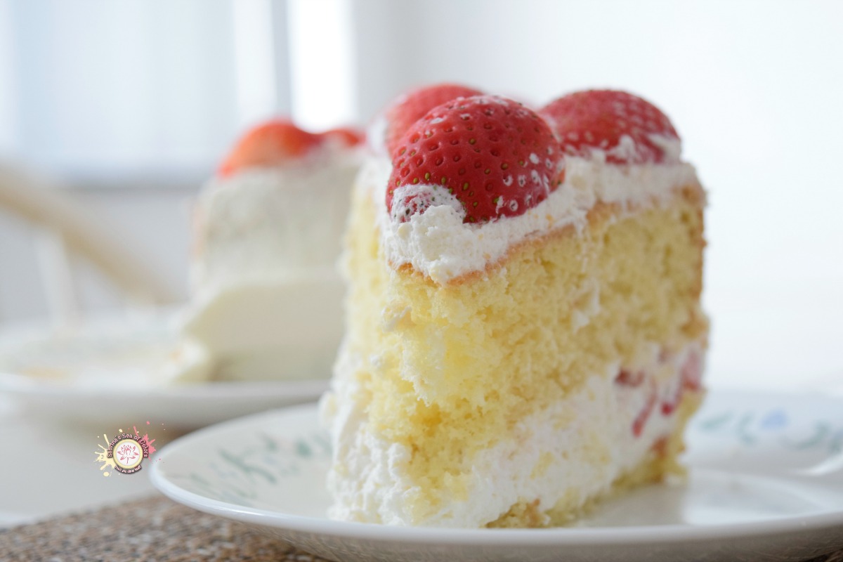 Pastel de fresas y nata montada Sabrina´s Sea of Colors