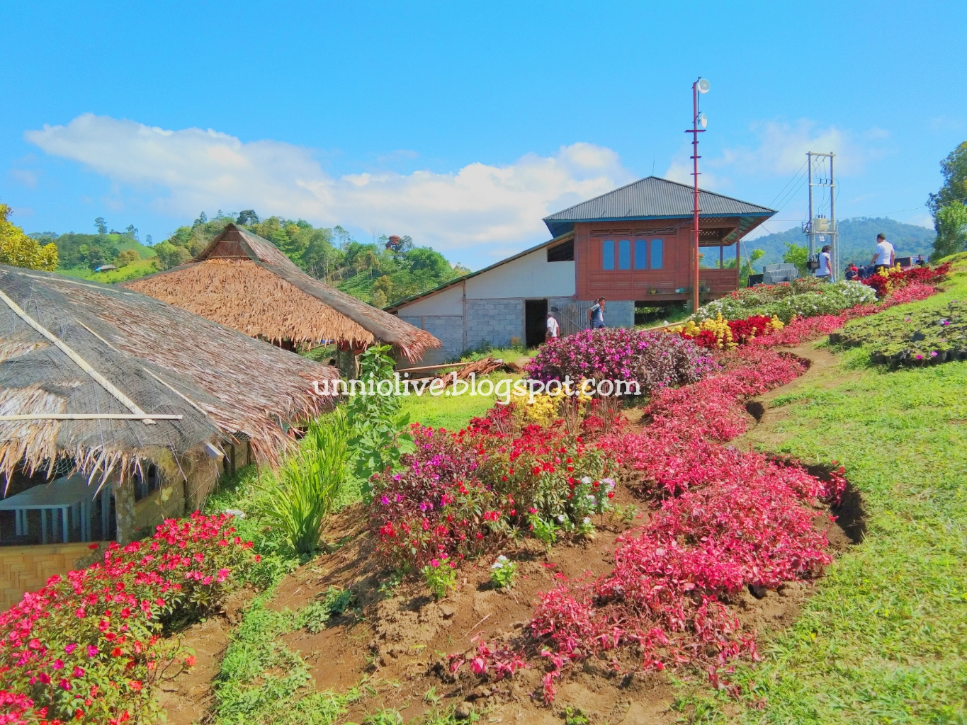 Wisata Alam - Taman Bunga Puncak Tetetana Kumelembuai Tomohon