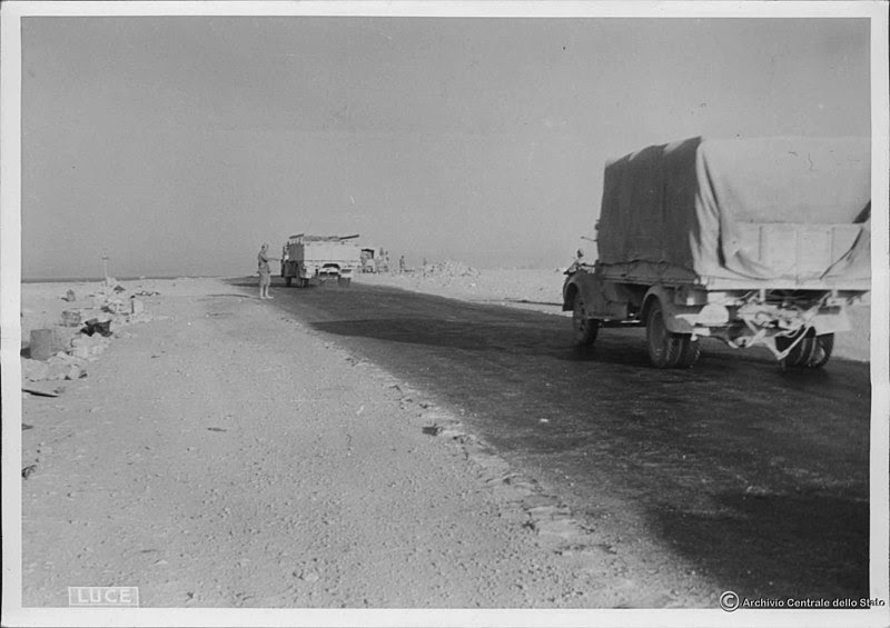 LA BATALLA DE ALAM EL HALFA DE 1942, preparación alemana para el choque