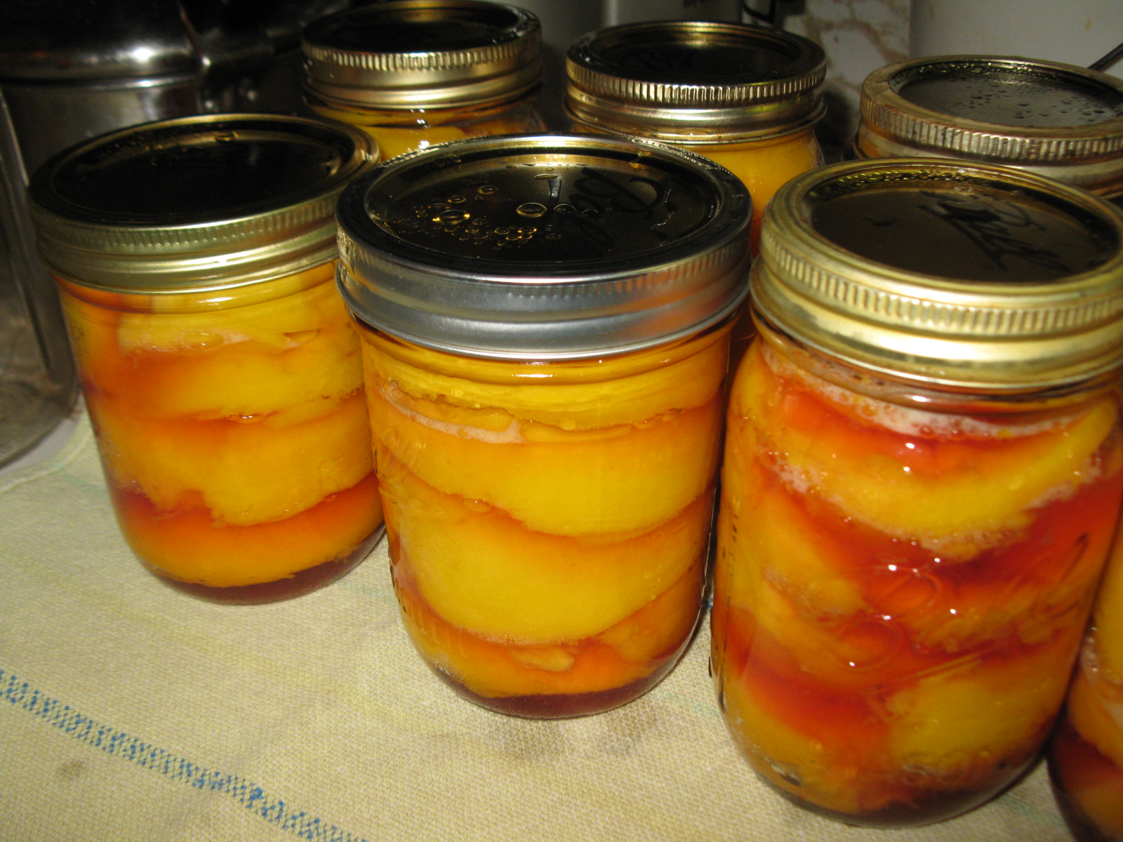 Simply Homemaking Canning Peaches is Easy! (No Sugar.)
