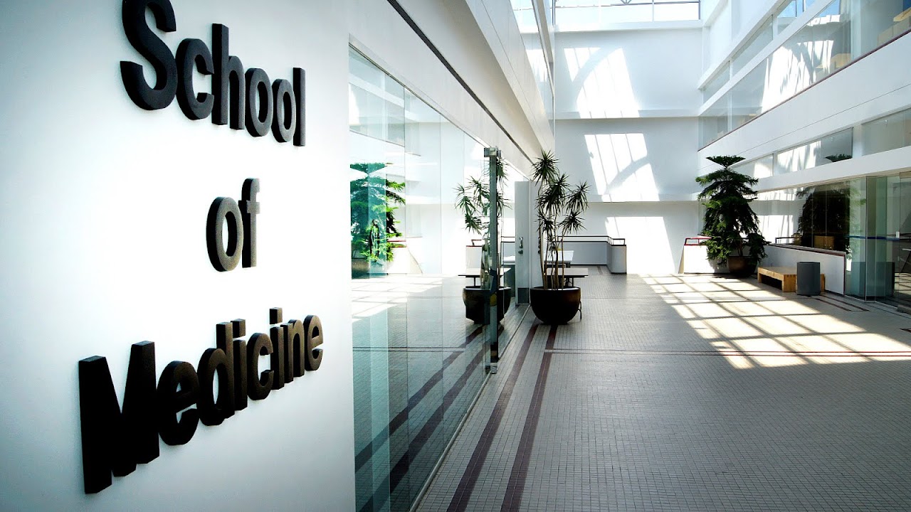 Washington University School of Medicine Medicine Choices