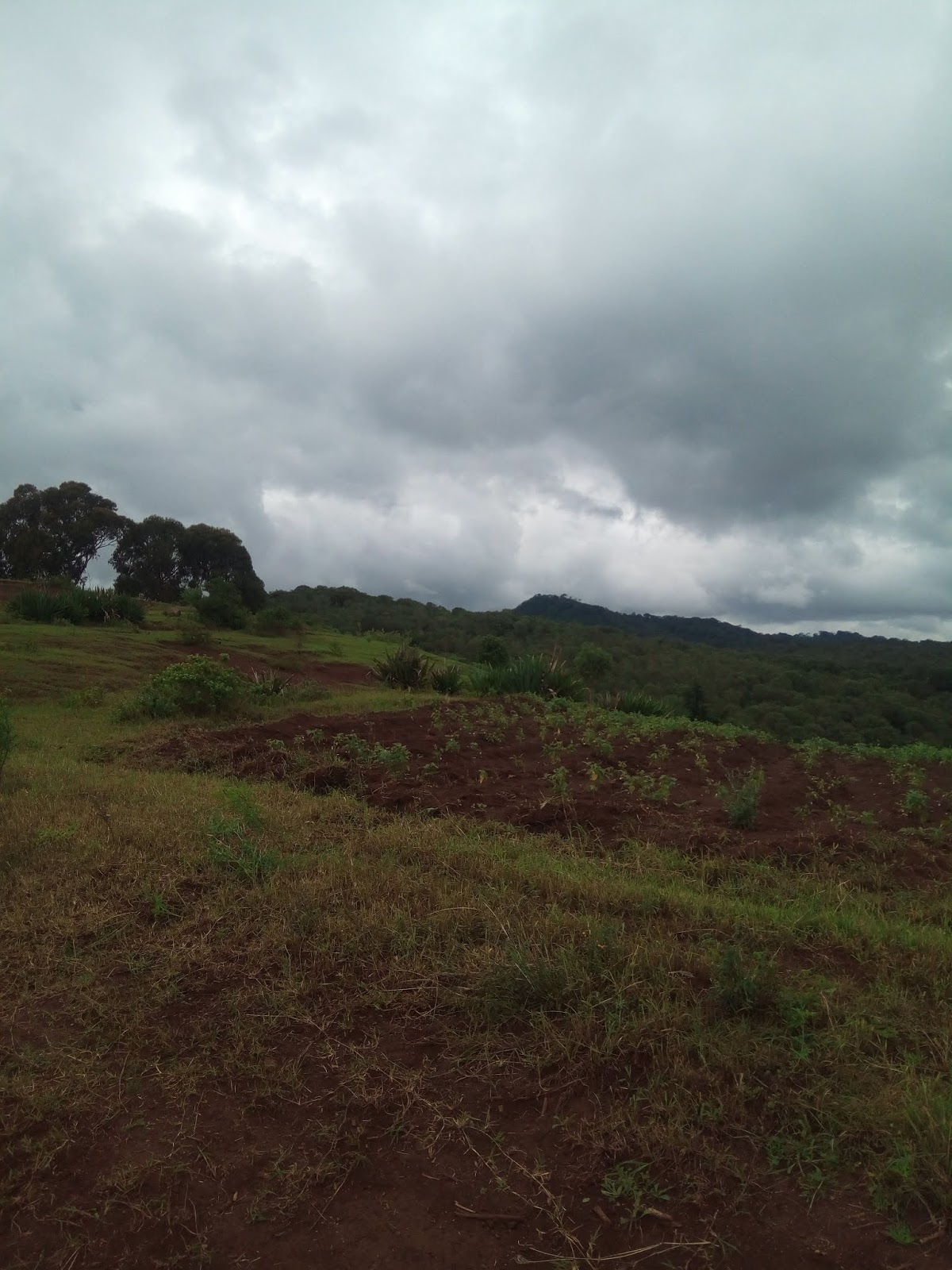 Rent house in Tanzania Arusha rent homes, Houses for sale,vacation