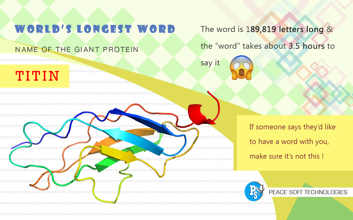 Discover The Longest Sittable Word You Wont Believe It - q8gi5ry