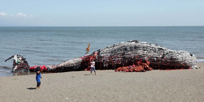 Bangkai Paus sepanjang 20 meter terdampar di Pantai Bunton Cilacap