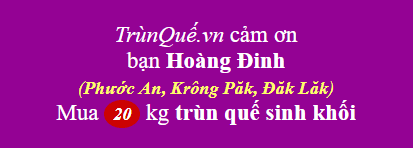 Trùn quế thị trấn Phước An