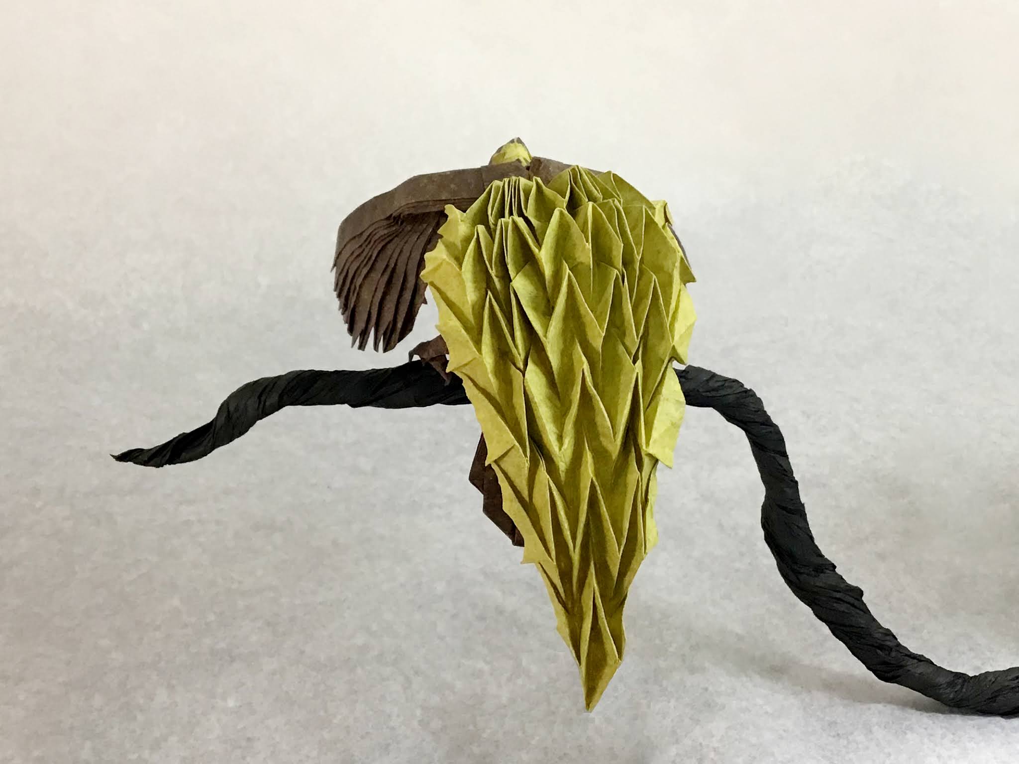 Origami Bird of Paradise