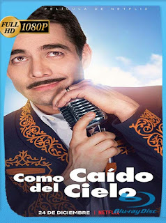 Como caído del cielo (2019) HD [1080p] Latino [GoogleDrive] SXGO