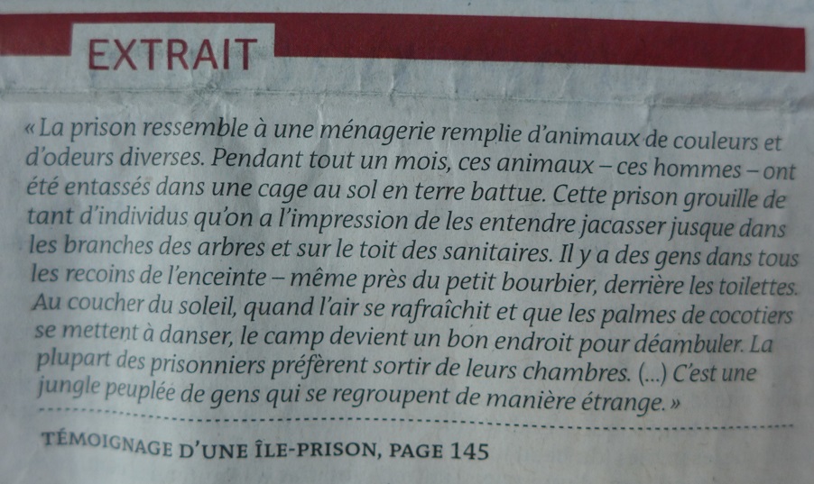 La Fleur du Dimanche Joyeux Noël et pri(s)ons