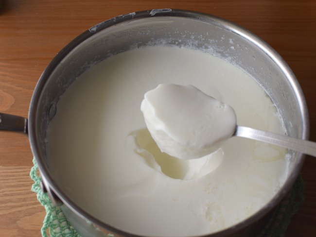 Cómo hacer yogurt casero con 2 ingredientes { yogurt regular y estilo  griego} | Bizcochos y Sancochos