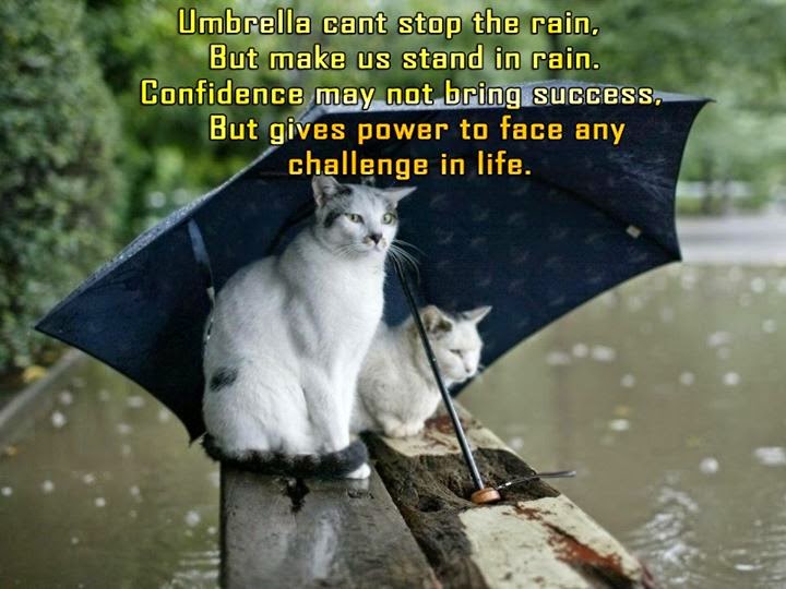 Umbrella cant stop the rain. But make us stand in rain. confidence may