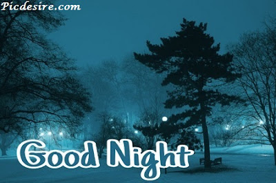 Top 101 Good Night Images || Best Good Night Images Top 101 Good Night Images || Best Good Night Images