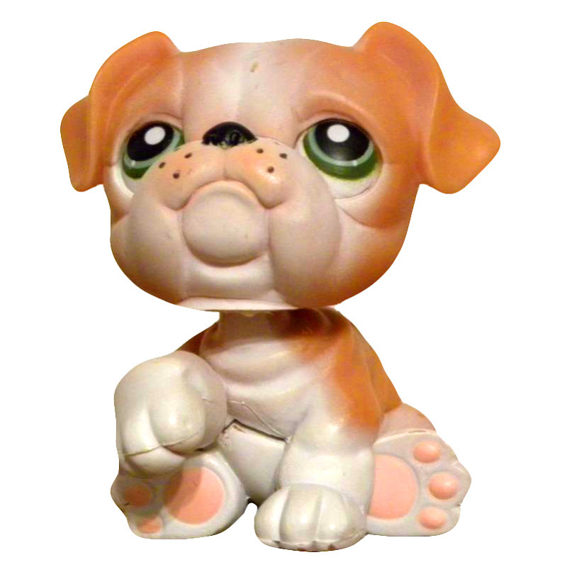 Littlest pet shop clearance bulldog