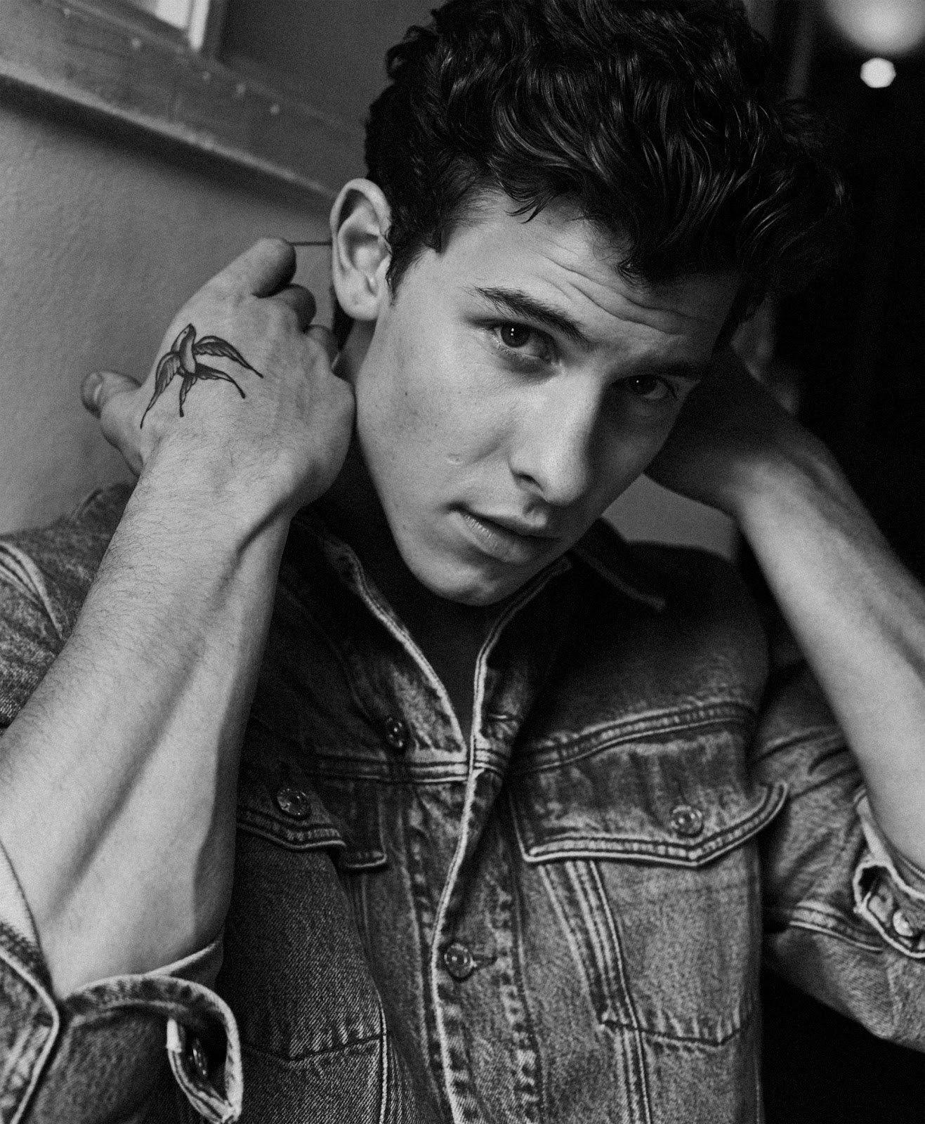 MOST BEAUTIFUL MEN SHAWN MENDES