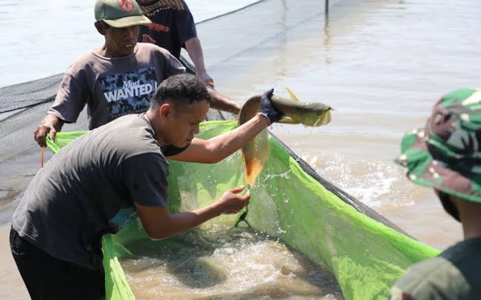 Mimpi Menangkap Ikan Gabus Artinya akan Menuntaskan Kasus - Primbon88