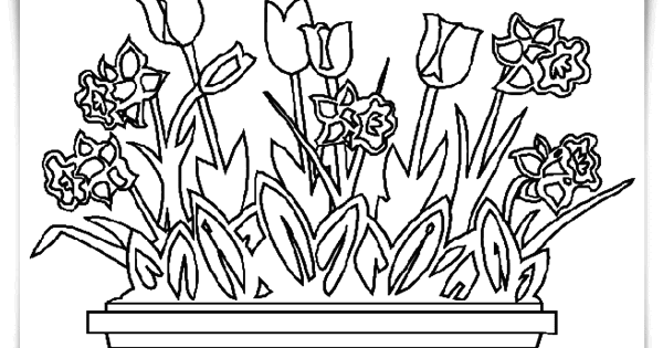 Window Color Malvorlagen Sommer Kostenlos