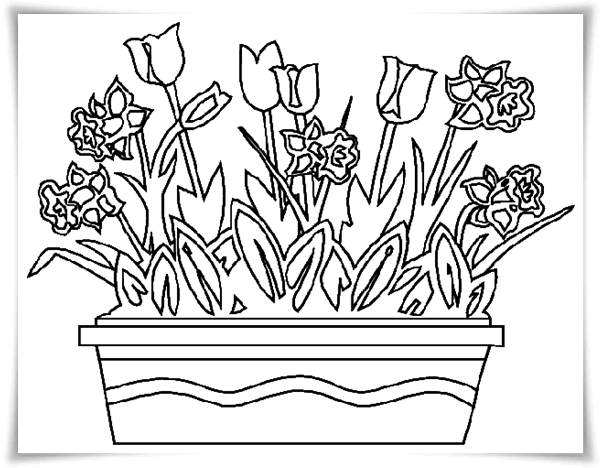 Blumenwiese Zum Ausdrucken : Ausmalbilder Blumen Wiese - Malvorlagen