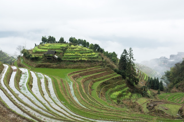 Guilin, rýžové terasy, Ping´an