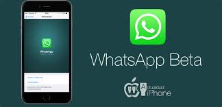 download whatsapp beta for pc download whatsapp beta for pc