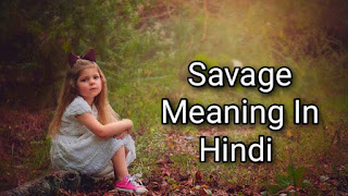 Savage Meaning In Hindi