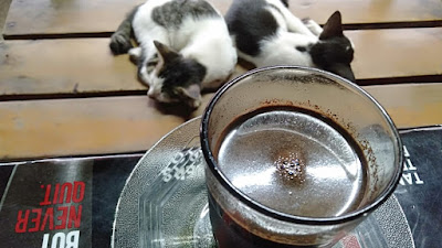 Kopi hitam dan anak kucing Kopi hitam dan anak kucing