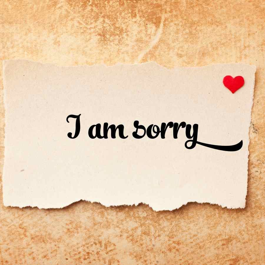 Sinhala Sorry SMS | Sinhala Sorry Messages | Sinhala Sorry Quotes | Nisadas