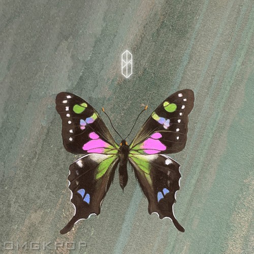 LIZRO – Dream 4 – Single