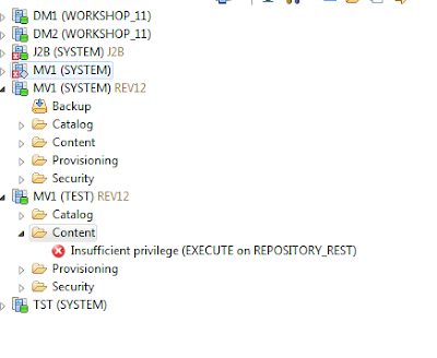 SAP HANA Authorization Tracing