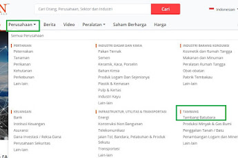 Cara Mencari Kapitalisasi Pasar di Idnfinancials