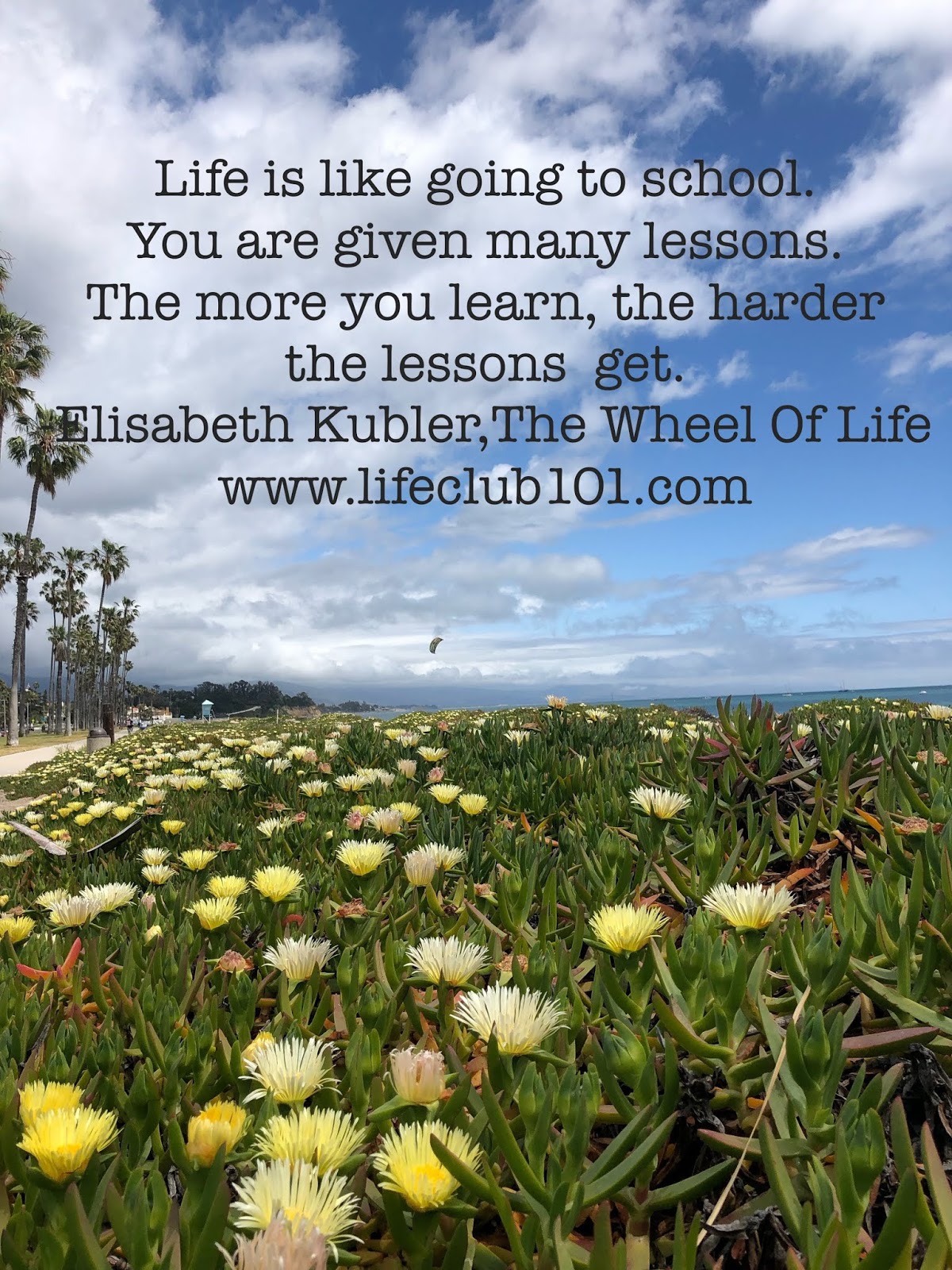 Lesson learned quotes, Lessons learned in life, Learning quotes