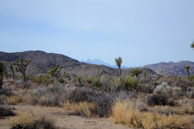 San Jacinto a little less completely covered