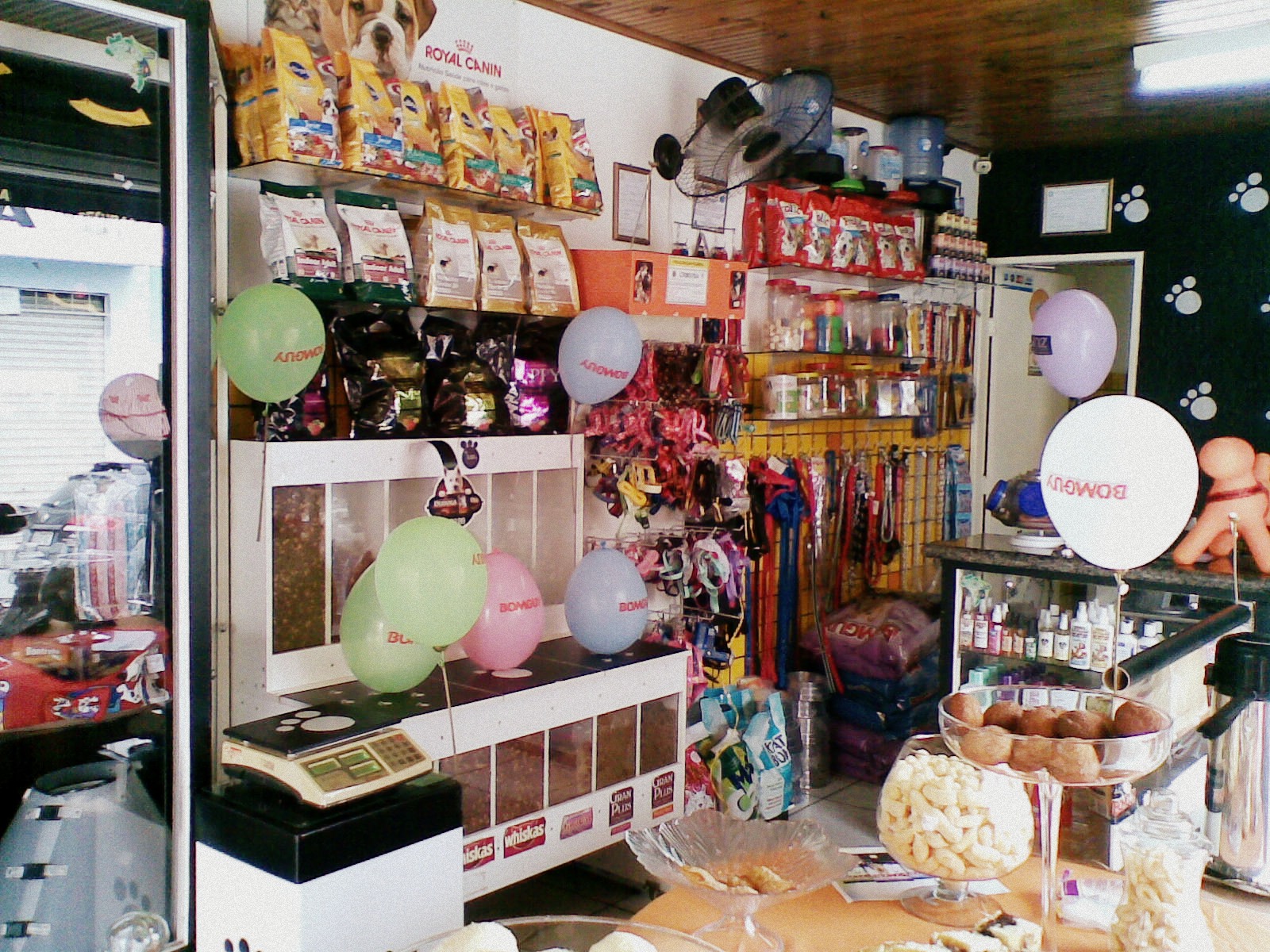 Pet Shop Miau Au au Parceria Ração Bonguy e Pet Shop Miau au au