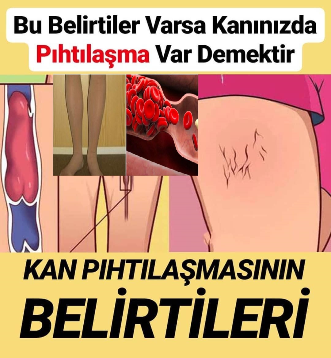 bu belirtiler varsa kaninizda