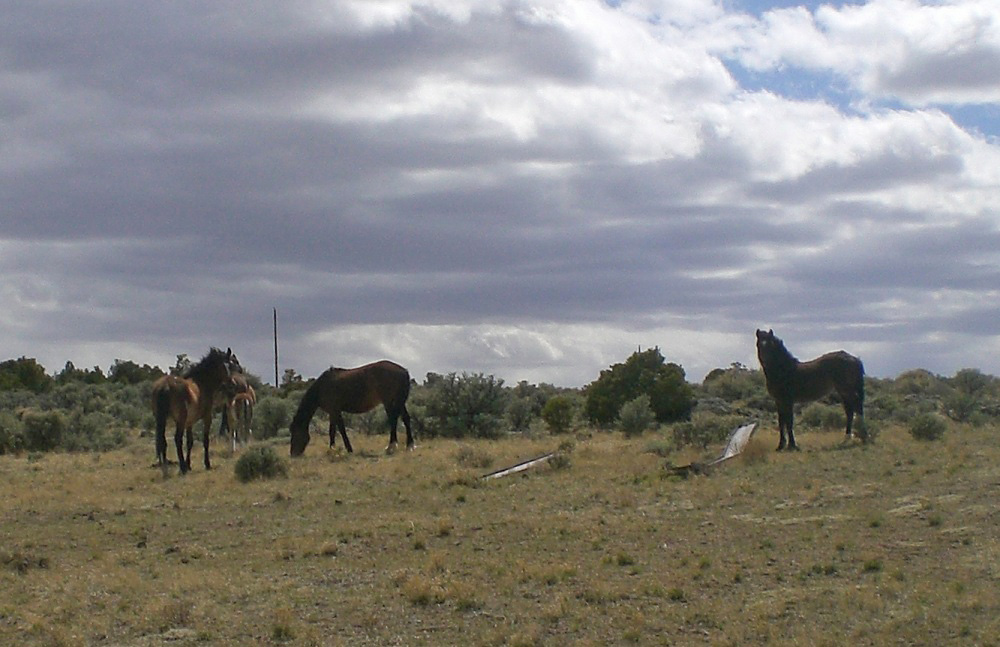 Colorado Vacation Land The Melby Ranch Community