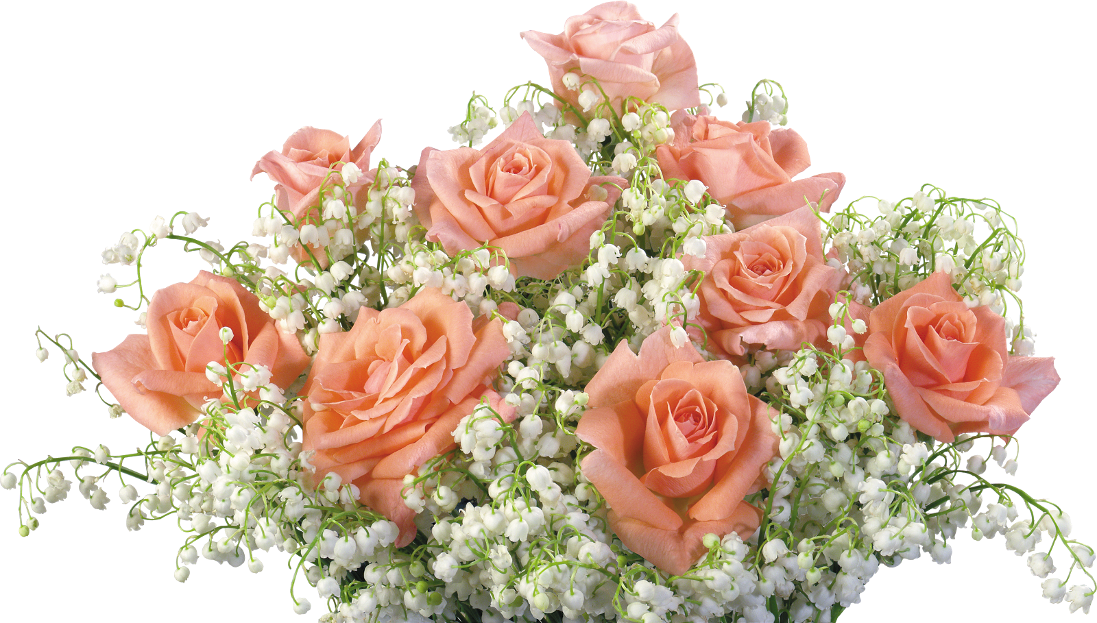 с днем рождения на прозрачном фоне. с днем рождения женщине с прозрачным фоном. красивые цветы на прозрачном фоне. цветы без фона. букет цветов без фона.