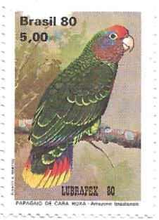 Selo papagaio-de-cara-roxa