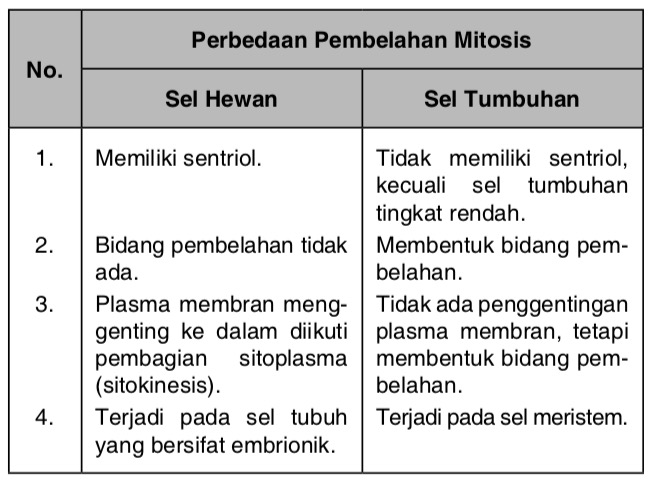 Jelaskan Perbedaan Antara Pembelahan Mitosis Pada Sel Hewan Dan